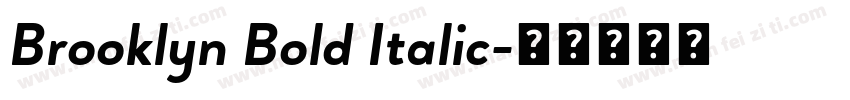 Brooklyn Bold Italic字体转换